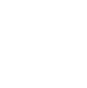 pcgicon2